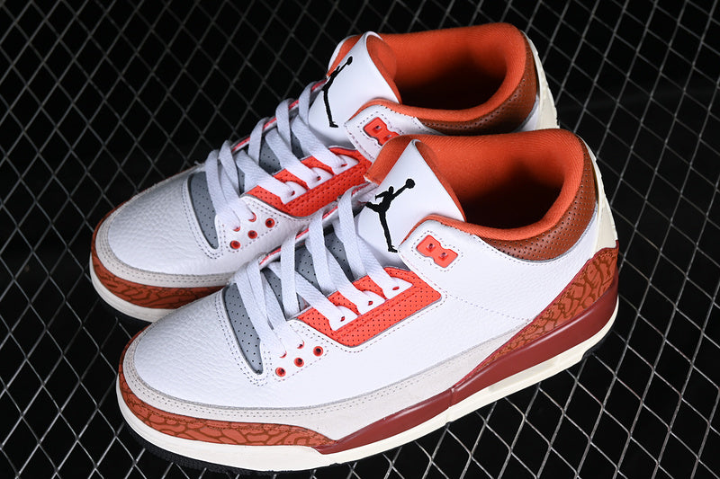 Jordan 3 Retro Dunk on Mars