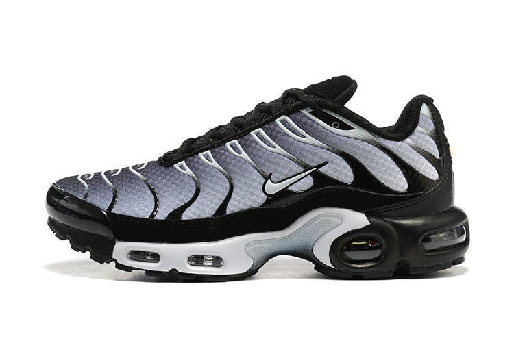 Nike Air Max Plus Black Silver White