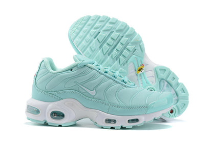 Nike Air Max Plus Igloo