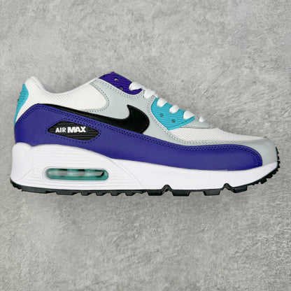 Nike Air Max 90 Grape