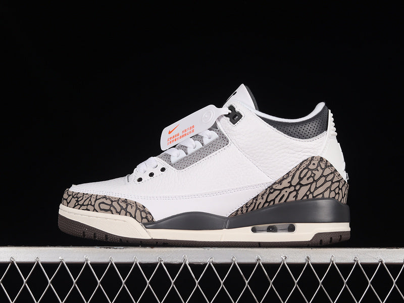 Jordan 3 Retro Hide N' Sneak