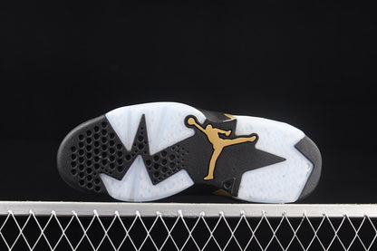 Jordan 6 Retro DMP