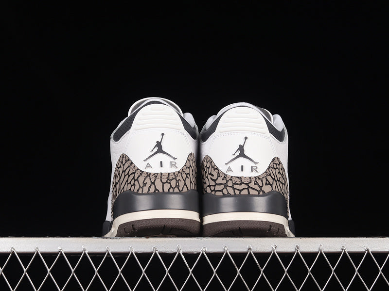 Jordan 3 Retro Hide N' Sneak