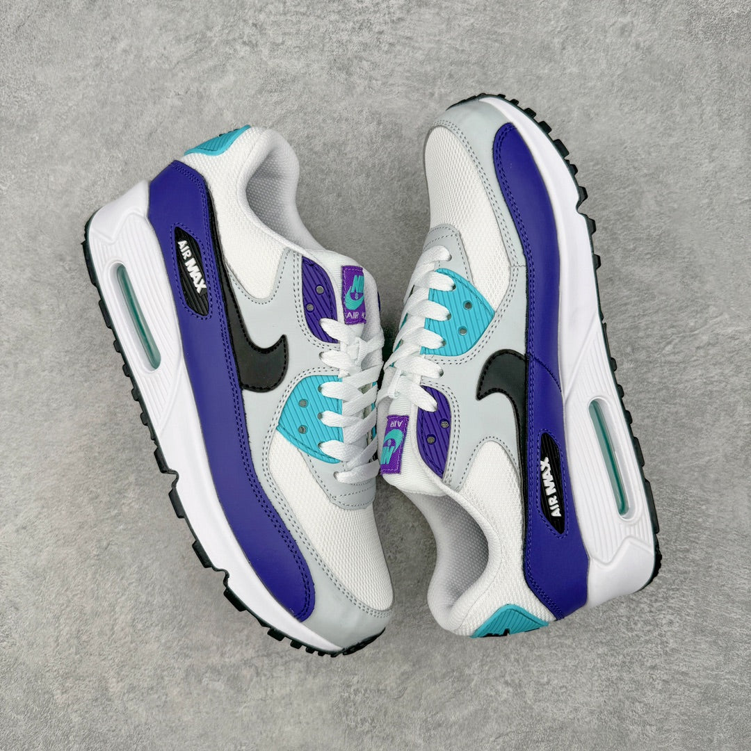 Nike Air Max 90 Grape