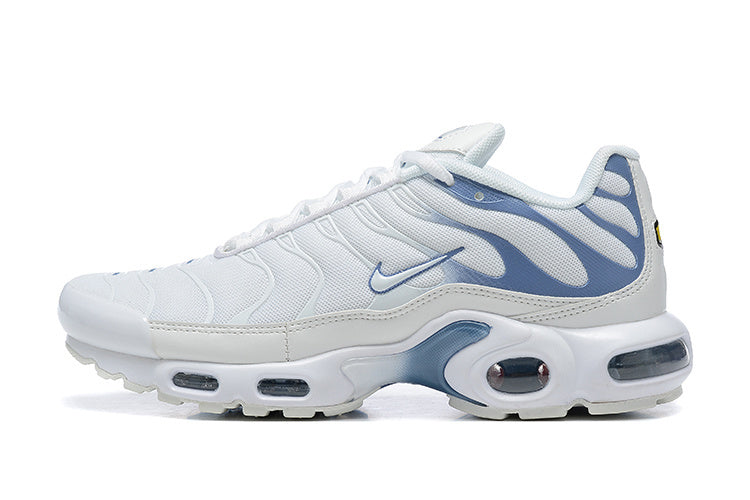 Nike Air Max Plus Ashen Slate